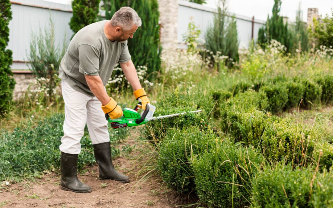 Essential Gardening Tools Every Gardener Should Own