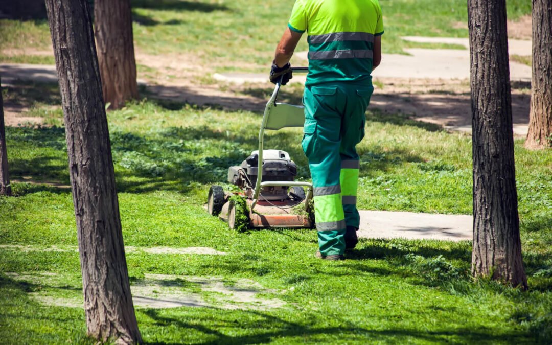 5 Simple Steps to a Healthier, Greener Lawn
