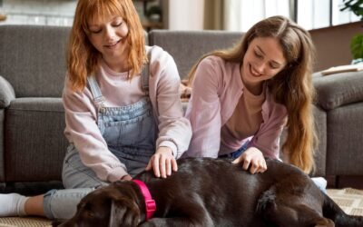 The Best Flea Medicine for Dogs