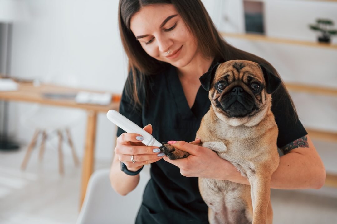 Pets Rescue