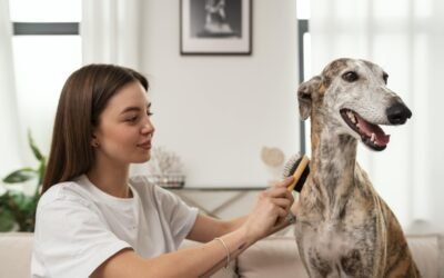 Positives And Negatives Of Keeping A Dog As A Pet