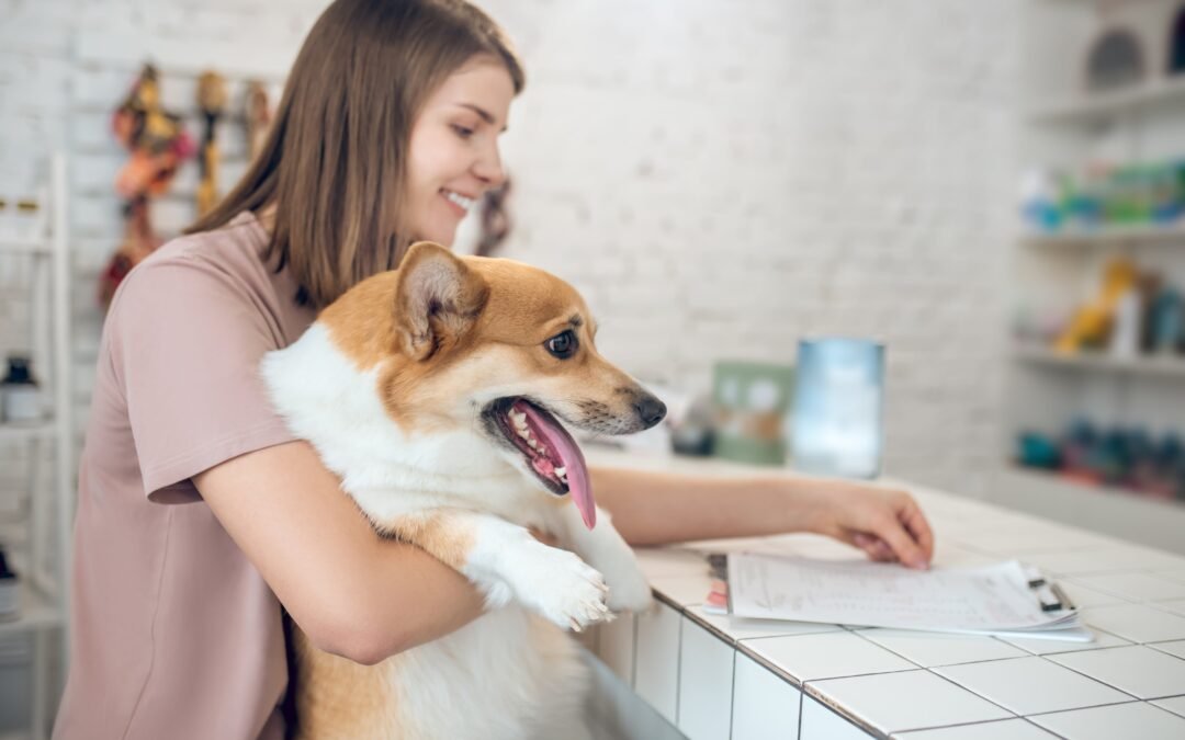 The Best Personalized Dog Collars