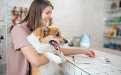 The Best Personalized Dog Collars